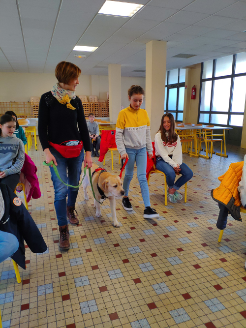 IMG_20200116_114642R