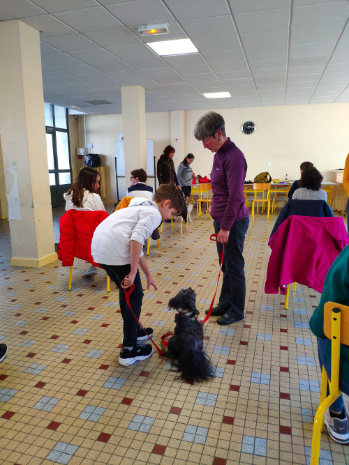 IMG_20200116_114938R